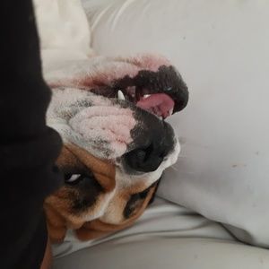 Meet your Posher, Anastasia